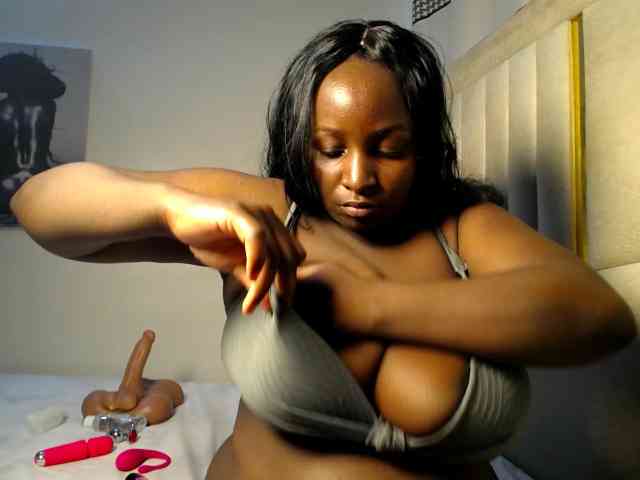 Dovecaren webcam