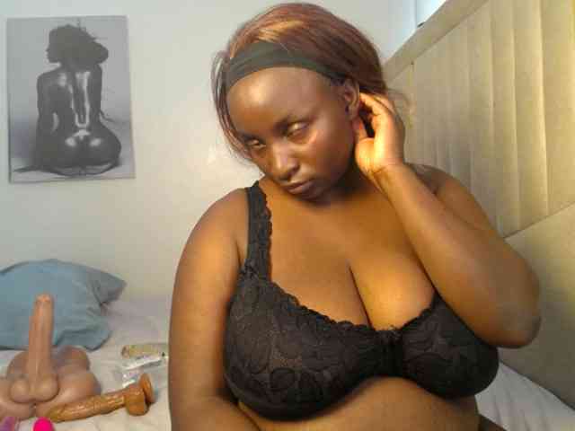 Model: Dovecaren