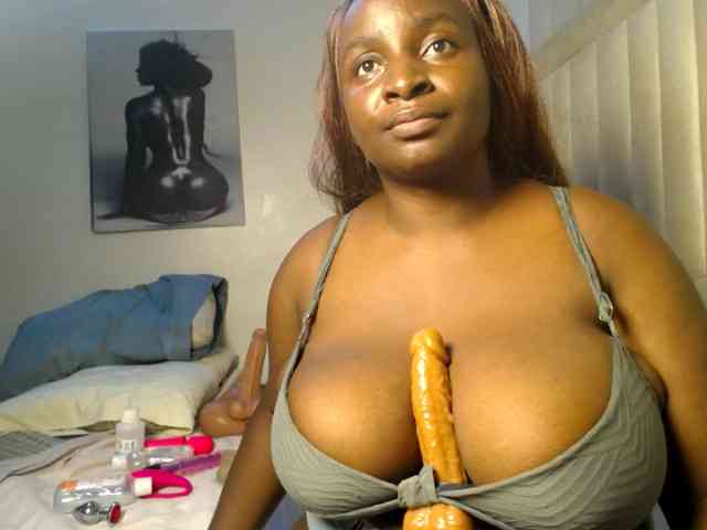 Dovecaren webcam