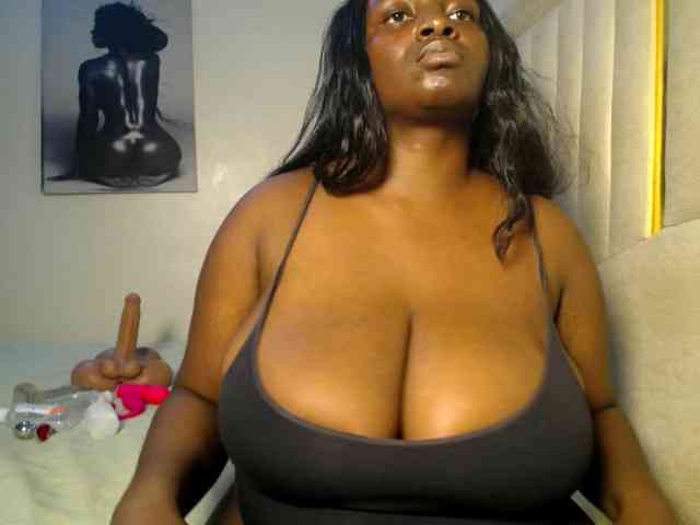 Dovecaren webcam