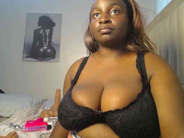 Dovecaren webcam