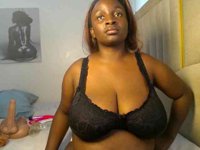 Dovecaren webcam