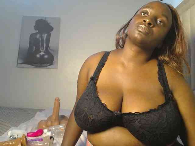 Dovecaren webcam
