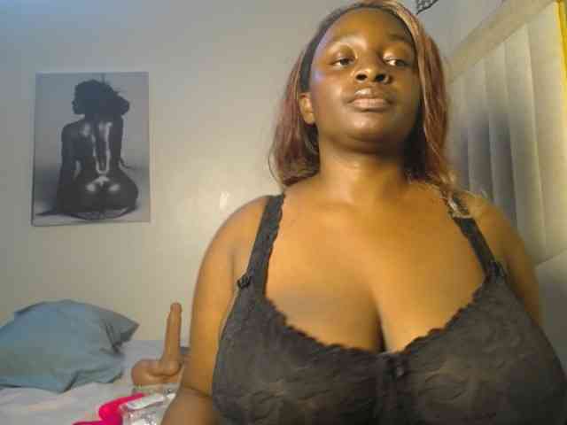Dovecaren webcam