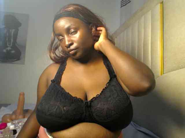 Dovecaren webcam