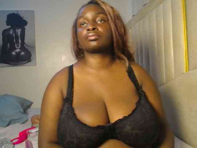 Dovecaren webcam