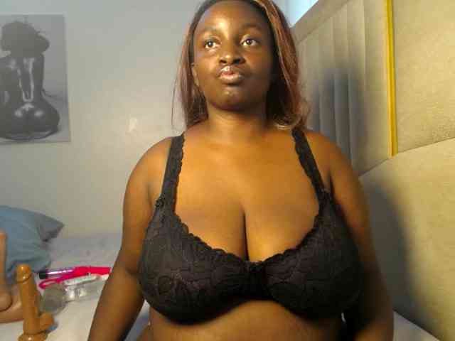 Dovecaren webcam