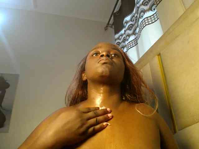 Dovecaren webcam