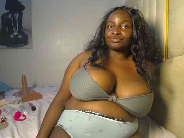 Dovecaren webcam