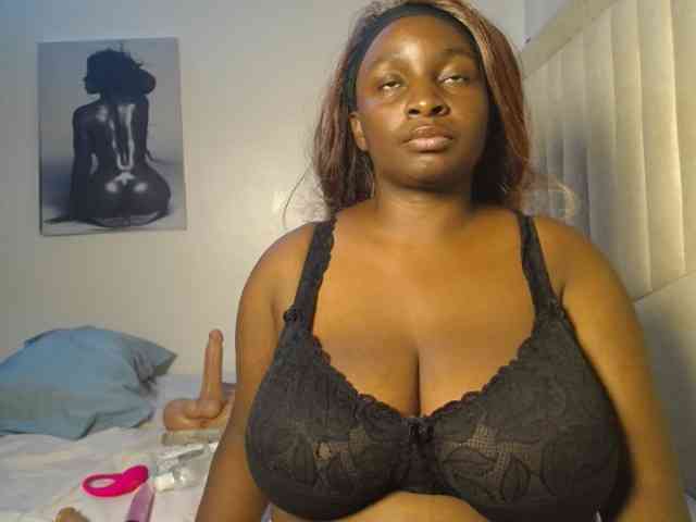 Dovecaren webcam