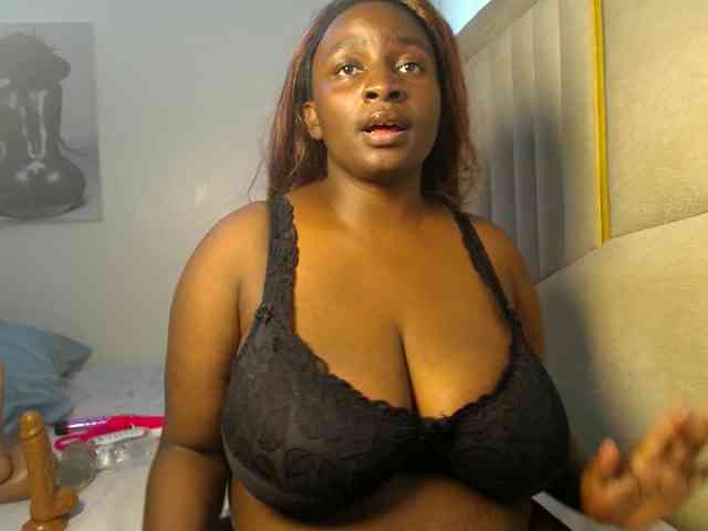 Dovecaren webcam