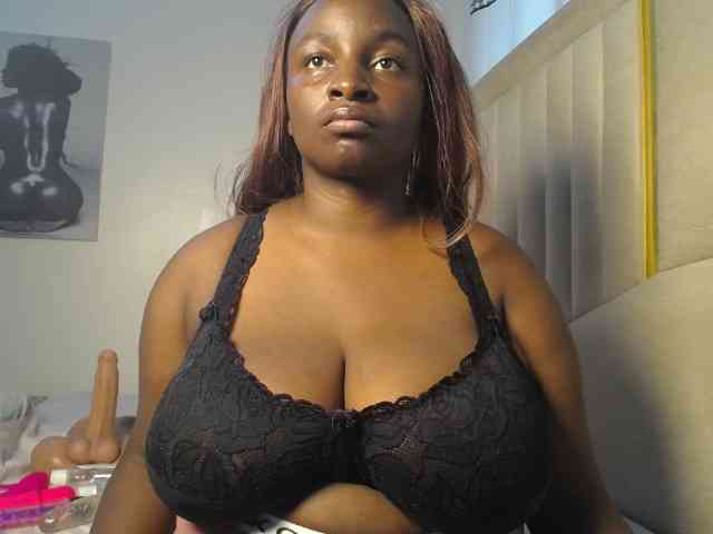Dovecaren webcam