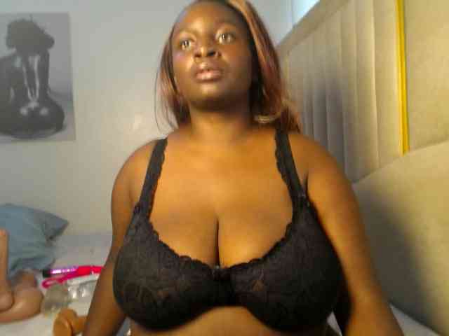 Dovecaren webcam