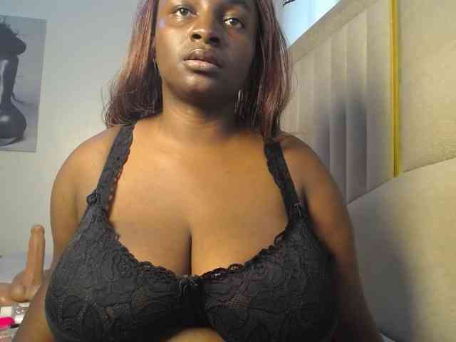 Dovecaren webcam