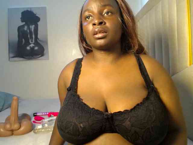 Model: Dovecaren