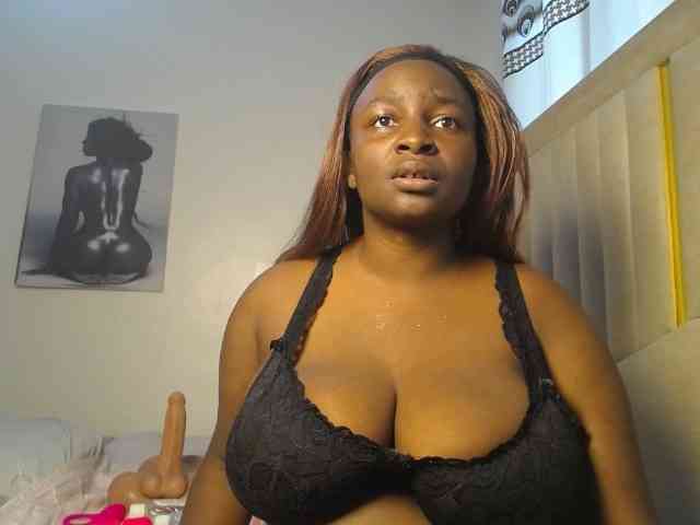 Dovecaren webcam