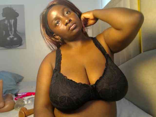 Dovecaren webcam