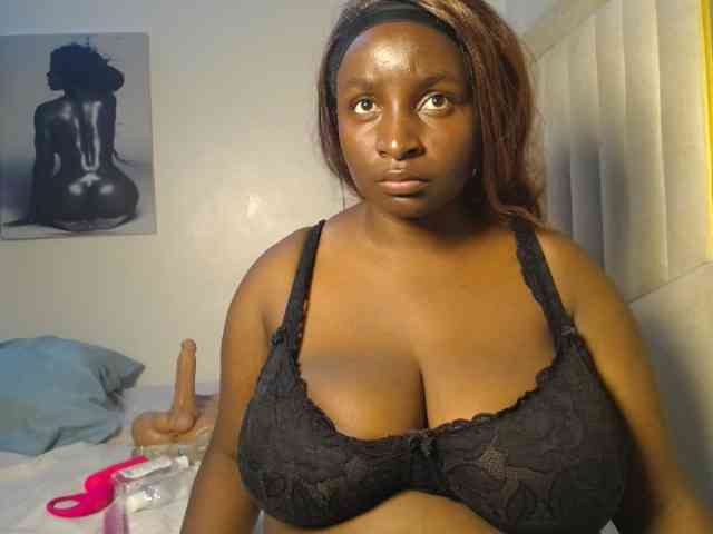 Dovecaren webcam
