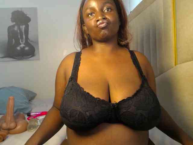 Dovecaren webcam