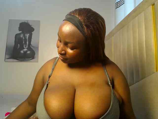 Dovecaren webcam