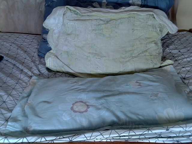 kenyanbunny live cam preview
