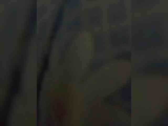 Dragonfly2839 webcam