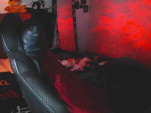 PrinceDarkness69