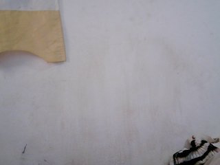 Sinah Porn Show