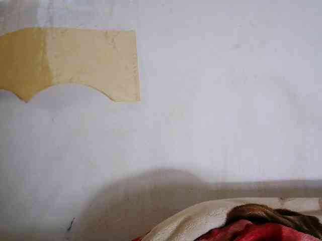 Sinah webcam