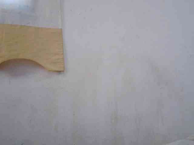 Sinah webcam
