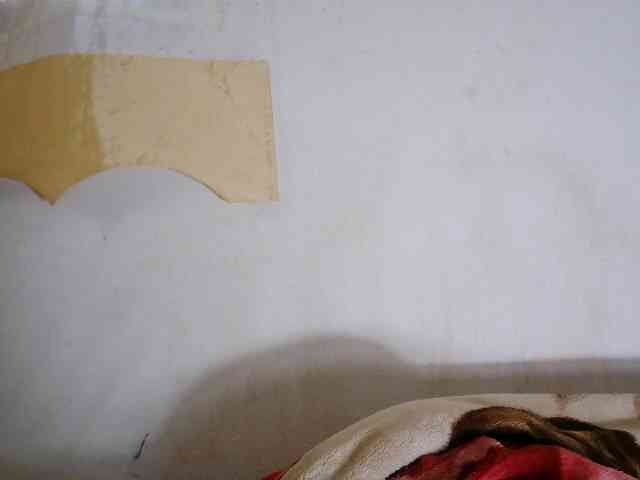 Sinah webcam