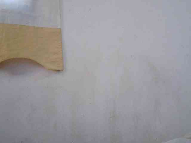 Sinah webcam