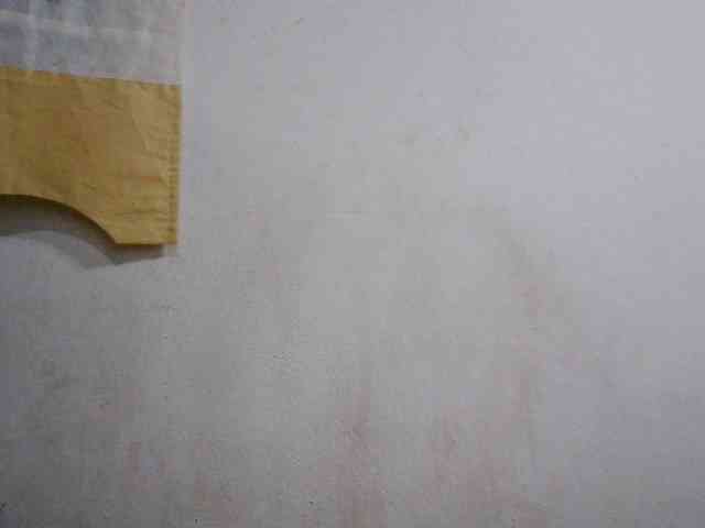 Sinah webcam