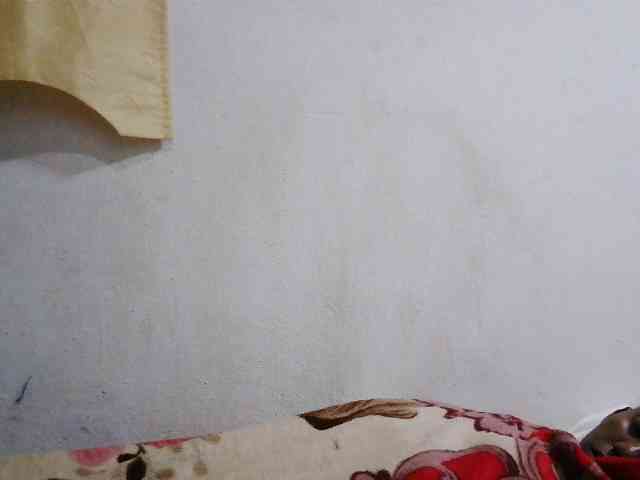 Sinah webcam