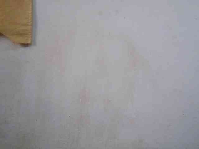 Sinah webcam