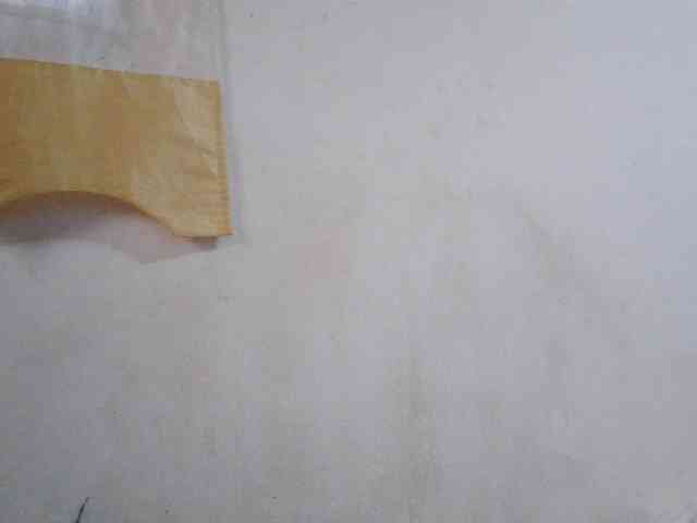 Sinah webcam