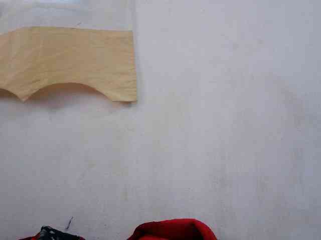 Sinah webcam