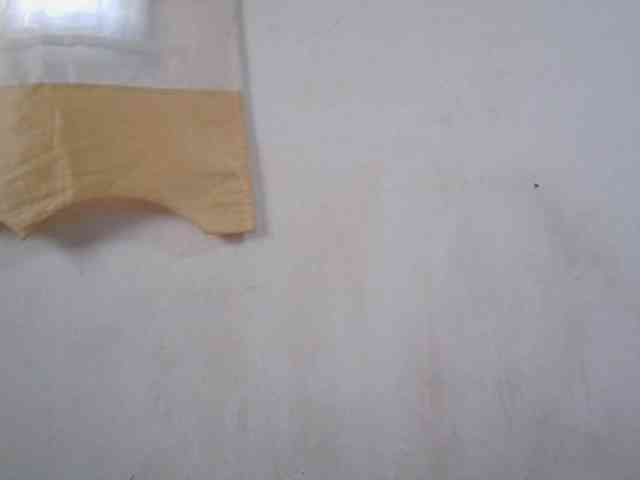 Sinah webcam