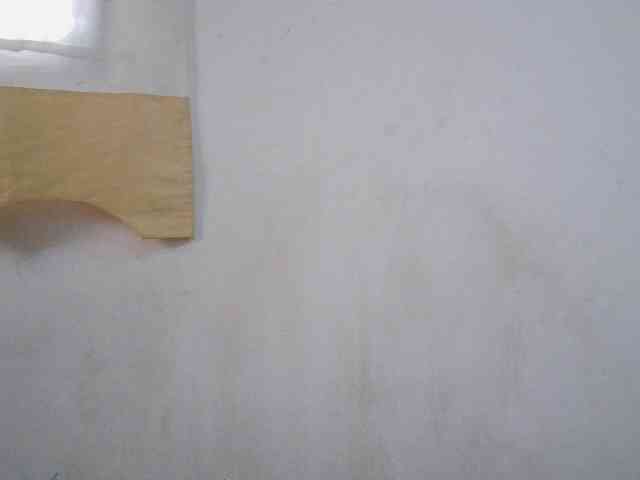 Sinah webcam