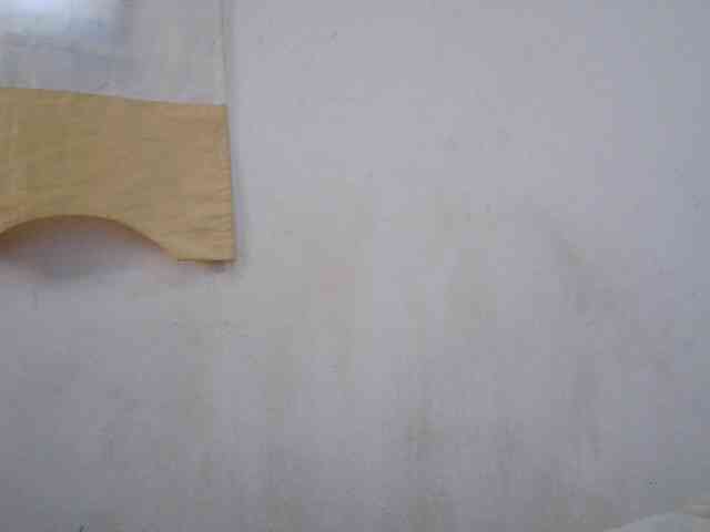 Sinah webcam