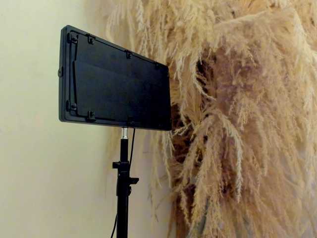 Lina-palace webcam