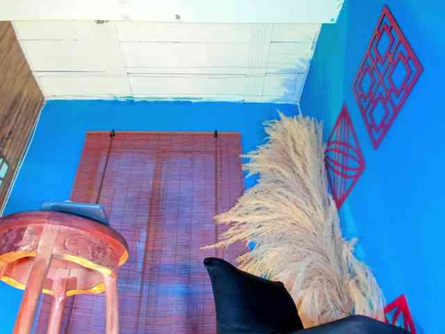 Lina-palace webcam