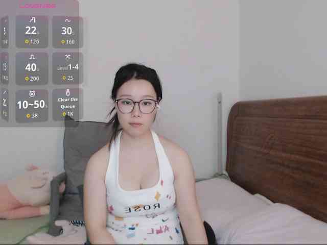 LingZi webcam