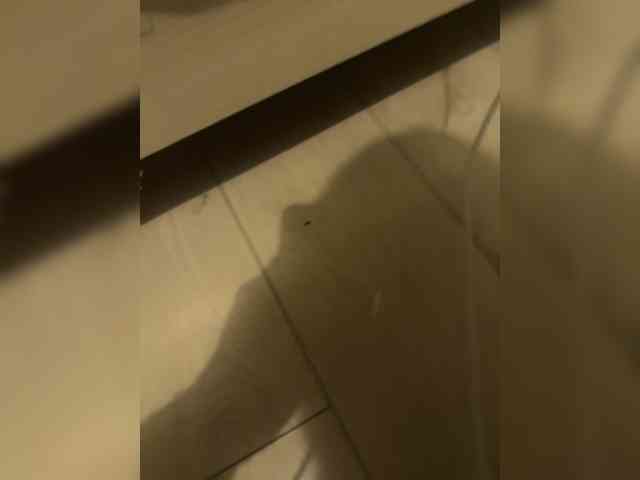 Kisylia0 webcam
