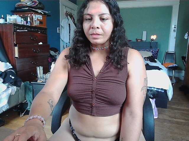 passionkitty live cam on BongaCams