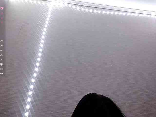 SaraAlt webcam