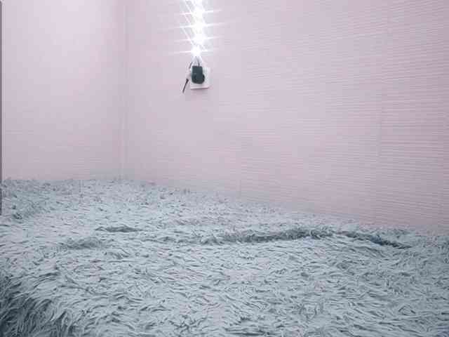 saraalt's live room