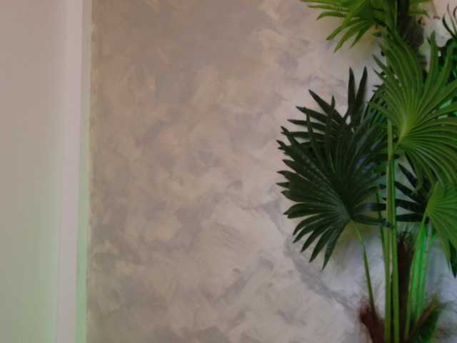 EllieRoseX live cam on BongaCams
