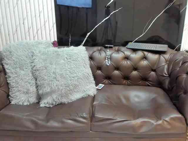 AprilJune webcam
