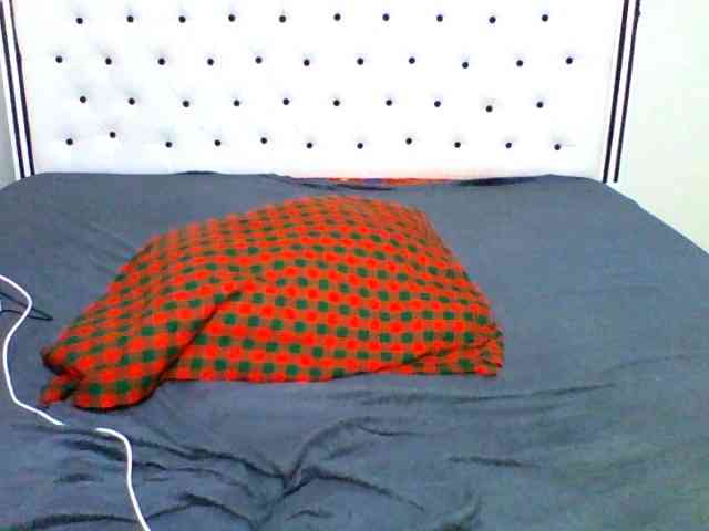 pixelbloom2000 webcam